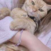 ヒメ日記 2026/01/29 19:05 投稿 小野(ｵﾉ) 小山人妻城