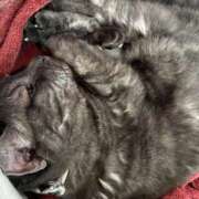 ヒメ日記 2026/02/06 18:53 投稿 小野(ｵﾉ) 小山人妻城