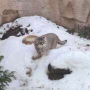 ヒメ日記 2026/02/08 06:08 投稿 小野(ｵﾉ) 小山人妻城