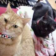 ヒメ日記 2026/02/22 12:33 投稿 小野(ｵﾉ) 小山人妻城