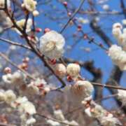 ヒメ日記 2026/02/27 19:11 投稿 小野(ｵﾉ) 小山人妻城