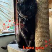 ヒメ日記 2026/03/13 19:42 投稿 小野(ｵﾉ) 小山人妻城