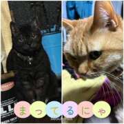 小野(ｵﾉ) 火曜日はイクから！！ 小山人妻城