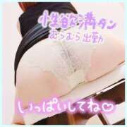 ヒメ日記 2025/10/05 10:09 投稿 りょう 木更津人妻花壇