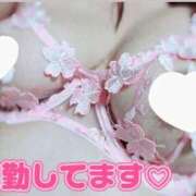 ヒメ日記 2025/01/10 19:47 投稿 れいら 夢の国デリランド