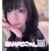 ヒメ日記 2025/04/20 14:33 投稿 いろは お姉京都