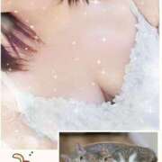 ヒメ日記 2025/02/22 15:58 投稿 栞里(しおり) エッチな熟女(広島)