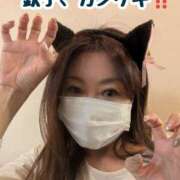 ヒメ日記 2026/02/22 19:26 投稿 ふじこ 奥鉄オクテツ和歌山