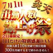 ヒメ日記 2026/06/30 06:37 投稿 ふじこ 奥鉄オクテツ和歌山
