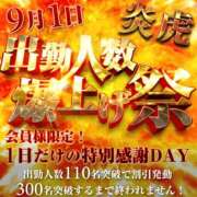 ヒメ日記 2026/08/31 10:00 投稿 ふじこ 奥鉄オクテツ和歌山
