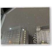 ヒメ日記 2025/03/08 20:59 投稿 あんく Cawaiiハイ！スクールリターンズ