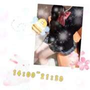 ヒメ日記 2025/03/27 13:23 投稿 あんく Cawaiiハイ！スクールリターンズ