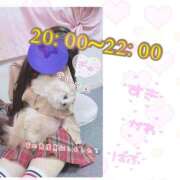 ヒメ日記 2025/07/31 18:38 投稿 あんく Cawaiiハイ！スクールリターンズ