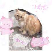 あんく にゃんにゃんにゃ🐱 Cawaiiハイ！スクールリターンズ