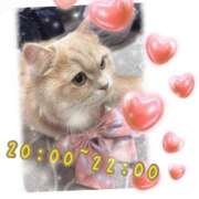 ヒメ日記 2025/12/10 18:39 投稿 あんく Cawaiiハイ！スクールリターンズ