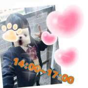 ヒメ日記 2026/03/16 14:00 投稿 あんく Cawaiiハイ！スクールリターンズ