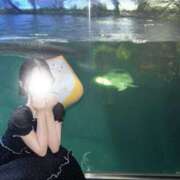 ヒメ日記 2025/08/03 19:42 投稿 深川　ちなり アムアージュ