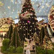 ヒメ日記 2026/01/30 07:12 投稿 深川　ちなり アムアージュ