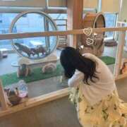 ヒメ日記 2026/05/15 10:18 投稿 深川　ちなり アムアージュ