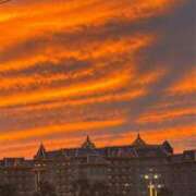 ヒメ日記 2025/09/04 04:30 投稿 長谷川こはる 渋谷ガーデン