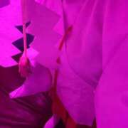 ヒメ日記 2025/01/20 19:17 投稿 きぬ Cawaiiハイ！スクールリターンズ