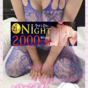 ヒメ日記 2025/04/07 20:08 投稿 月野【つきの】 丸妻 西船橋店