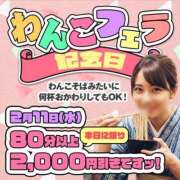 ヒメ日記 2026/02/11 16:48 投稿 月野【つきの】 丸妻 西船橋店