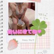 ヒメ日記 2026/04/01 15:53 投稿 月野【つきの】 丸妻 西船橋店