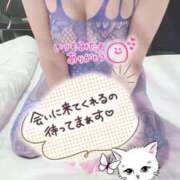 ヒメ日記 2026/09/22 17:17 投稿 月野【つきの】 丸妻 西船橋店