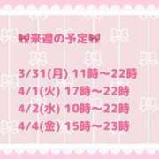 ヒメ日記 2025/03/27 00:00 投稿 のあ 鶯谷スピン