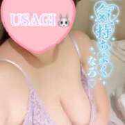 ヒメ日記 2025/09/29 17:39 投稿 USAGI Big Tits(ビッグティッツ)