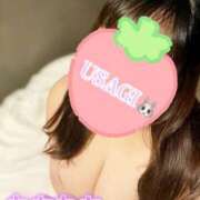 ヒメ日記 2025/10/07 08:20 投稿 USAGI Big Tits(ビッグティッツ)