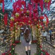 ヒメ日記 2025/12/27 23:55 投稿 つきの Gossip girl