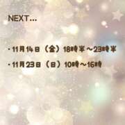 ヒメ日記 2025/11/09 20:22 投稿 せりな 埼玉西川口ショートケーキ（シンデレラグループ）