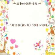 せりな 出勤のお知らせ- ??? 埼玉西川口ショートケーキ（シンデレラグループ）