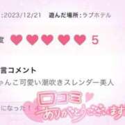 ヒメ日記 2023/12/30 13:24 投稿 有村めろ 五反田発 痴漢電車or全裸入室