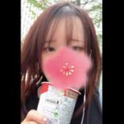 ヒメ日記 2025/04/19 11:32 投稿 つぐみ かりんと神田