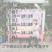 ヒメ日記 2025/04/27 15:17 投稿 つぐみ かりんと神田