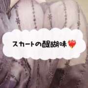 ヒメ日記 2025/04/09 12:22 投稿 めぐみ ホワイトベル