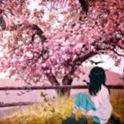 ヒメ日記 2025/03/24 19:19 投稿 ゆみ 美少女制服学園CLASSMATE　五反田校