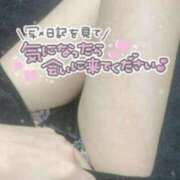 ここな おはよー！ 上野ハンドメイド