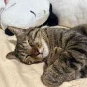 ヒメ日記 2025/07/04 02:01 投稿 あお 即アポマダム～名古屋店～