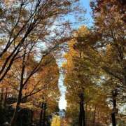 ヒメ日記 2025/11/17 13:49 投稿 朝日 夕月