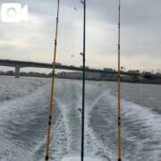 ヒメ日記 2025/11/27 00:39 投稿 朝日 夕月