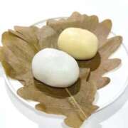 ヒメ日記 2026/03/30 14:09 投稿 朝日 夕月