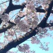 ヒメ日記 2026/04/09 17:23 投稿 りな CLUB DEEP 博多