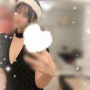 ヒメ日記 2024/12/14 10:15 投稿 りょうこ なでし娘