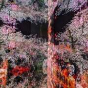 ヒメ日記 2025/01/17 07:02 投稿 りょうこ なでし娘