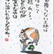 ヒメ日記 2025/01/31 17:15 投稿 りょうこ なでし娘