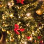 SHYUKA 出勤に関して！！ TALL